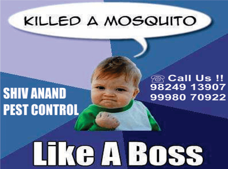 Shiv-Anand-Pest-Control