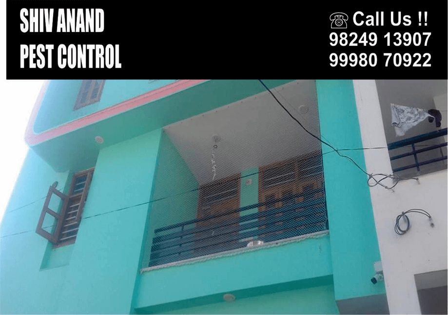 Shiv-Anand-Pest-Control