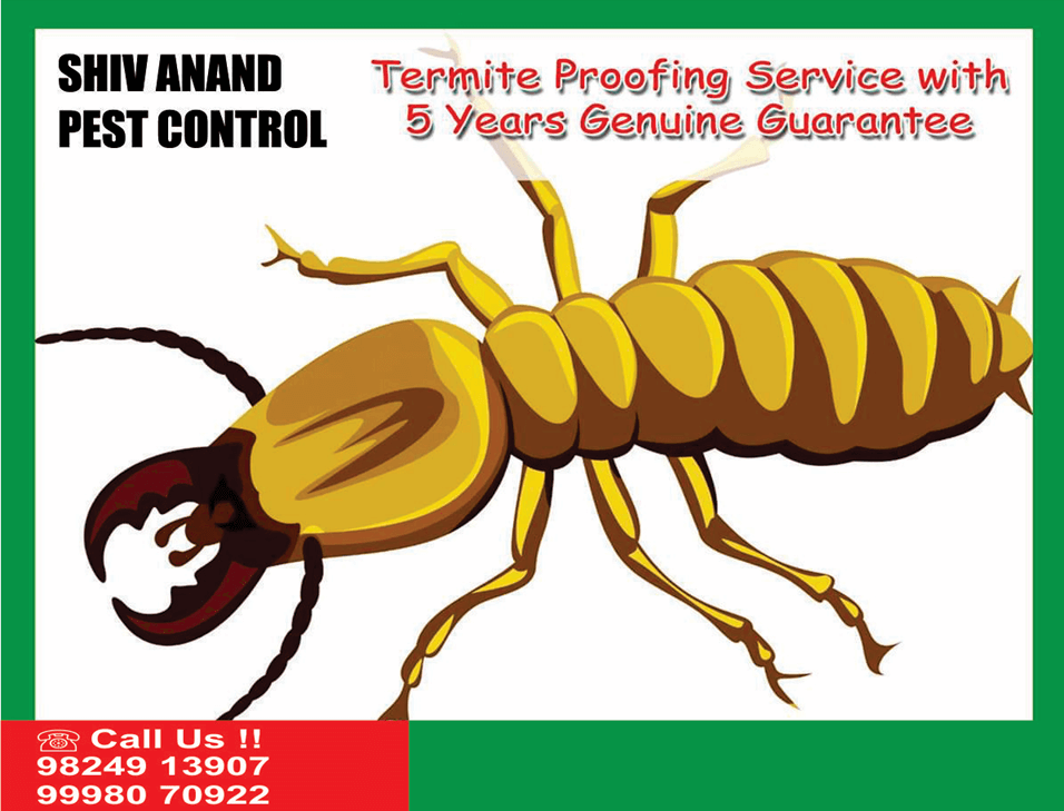 Shiv-Anand-Pest-Control
