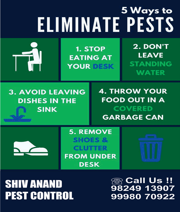 Shiv-Anand-Pest-Control