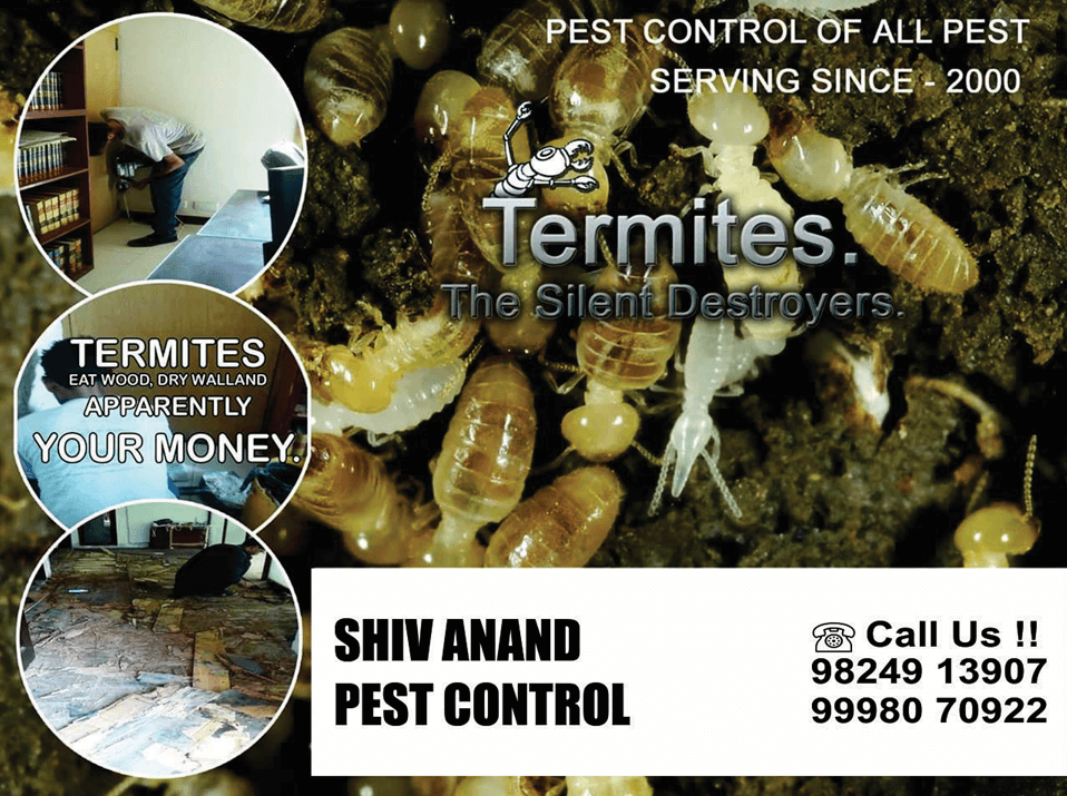 Shiv-Anand-Pest-Control
