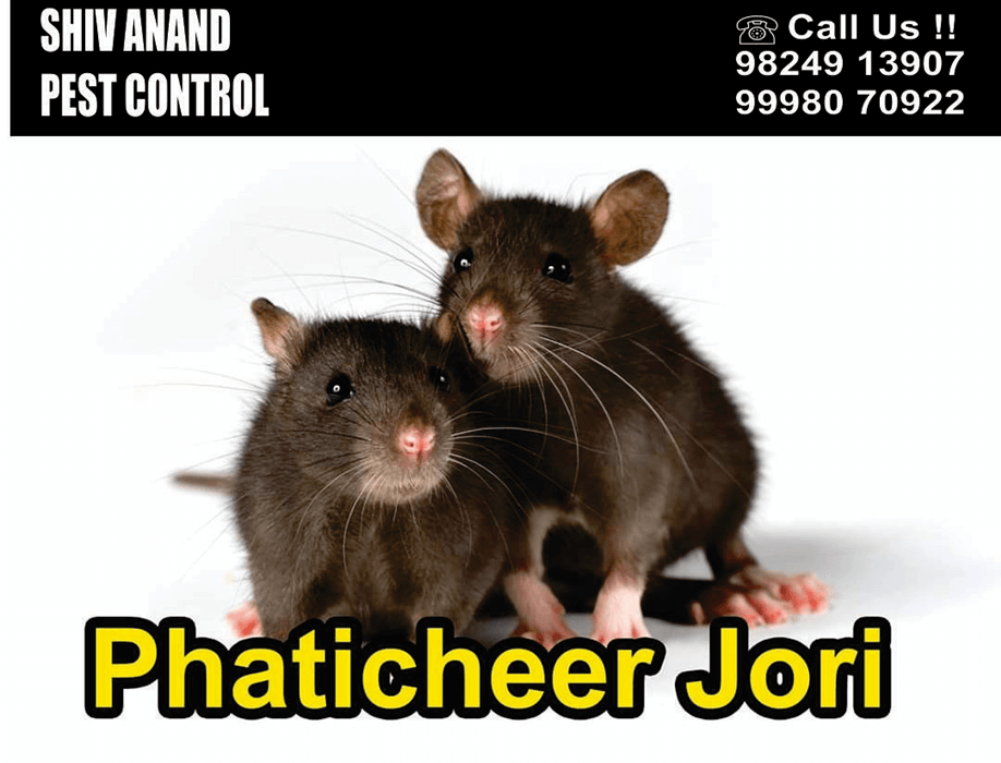Shiv-Anand-Pest-Control