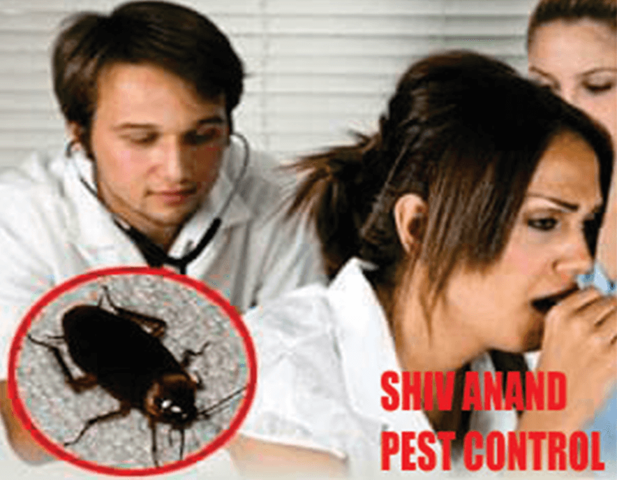 Shiv-Anand-Pest-Control