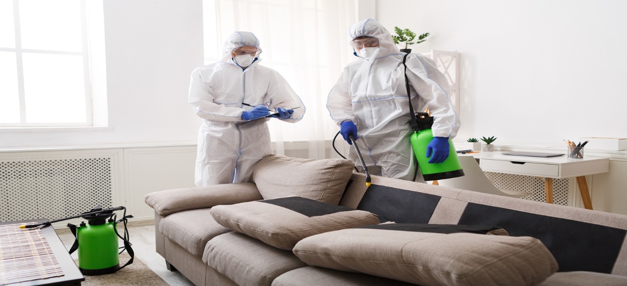 Pest Control
